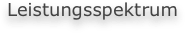 Leistungsspektrum